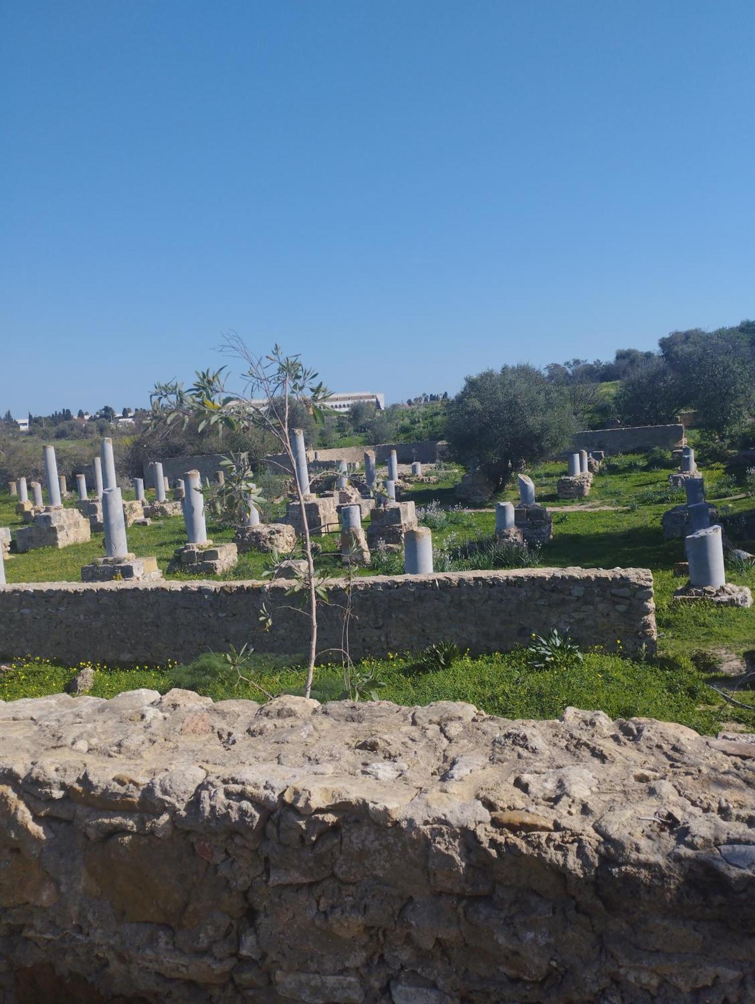 Apartment 2 A Carthage Byrsa Douar ech Chott